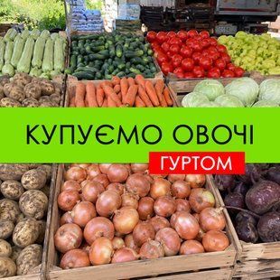 Закуповую овочі гуртом в асортименті 01-Купую фото