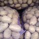 Картофель от населения Гранада, Тайфун, Мелоди, Королева Анна оптом 01-Кар-0009 фото 2