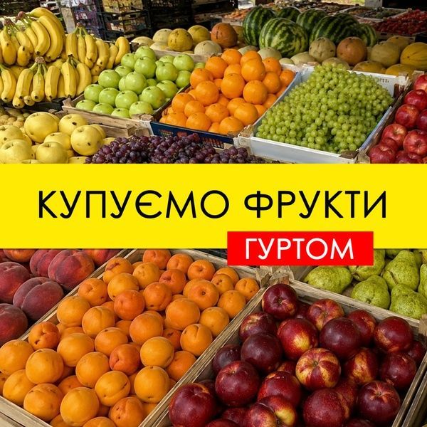 Закупаю фрукты оптом в ассортименте 02-Купую фото Закупаю фрукты оптом в ассортименте 02-Купую фото