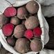 Буряк червоний гуртом 01-Бур-0011 фото 1