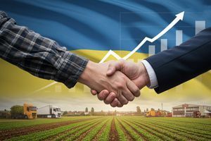 Синергия с государством &ndash; это ключ к системным изменениям фото