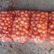 Цибуля Медуза F1 (Takii Seeds) 01-Циб-0005 фото 1